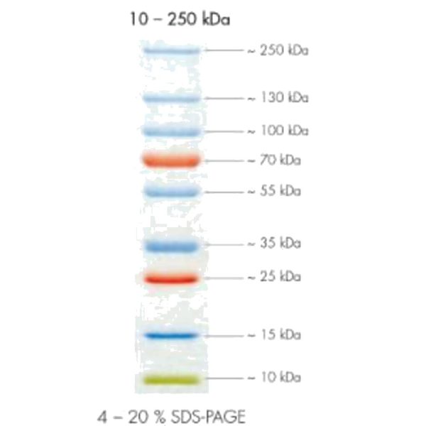 KIT PEQLAB PEQGOLD PROTEIN MARKER V, 2X250UL
