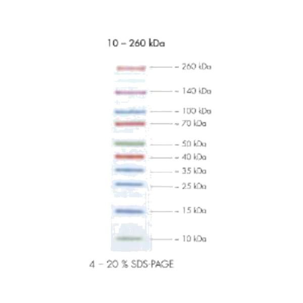 KIT PEQGOLD PROTEIN MARKER VI 2×250 µL