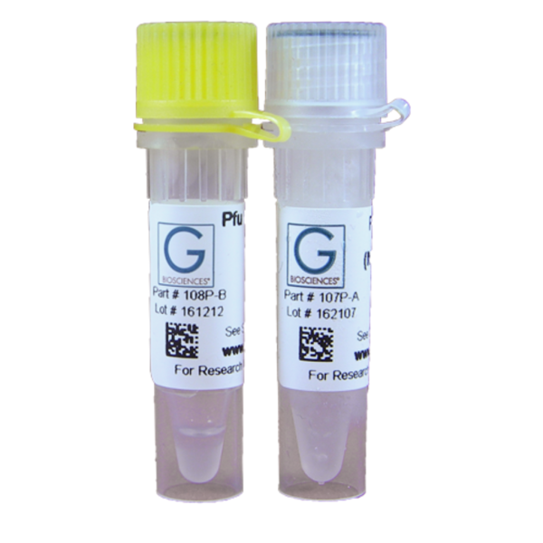 MASTERMIX 2X PFU DNA POLIMERASA 40 TEST