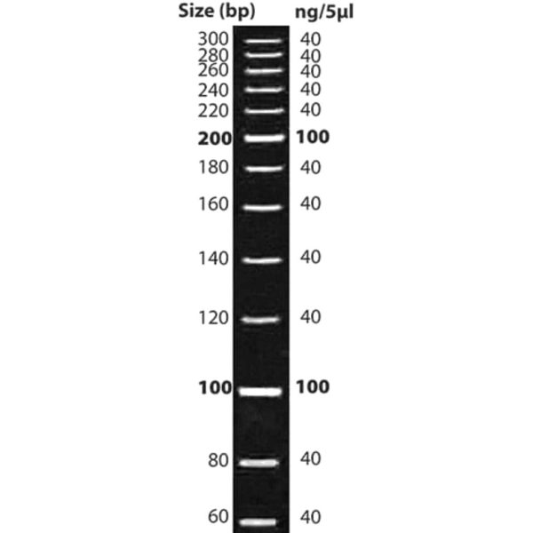 ESCALERA DE ADN DNAMARK 20BP, 50 µG