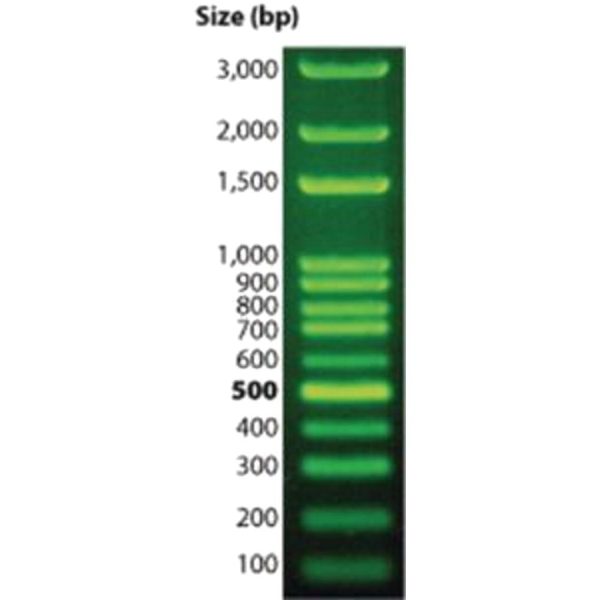 ESCALERA DNA 100BP DNAMARK 100LOADS 50ug