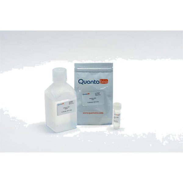 EXTRACTA DBS 10ML