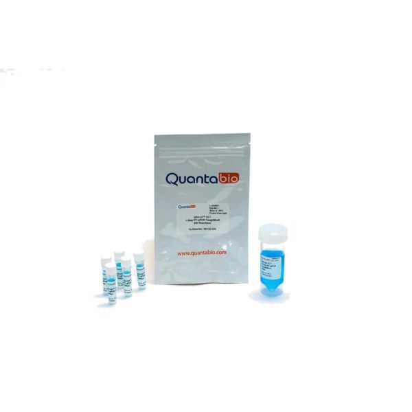 QSCRIPT XLT 1 PASO RT-QPCR TOUGHMIX LO, P/500