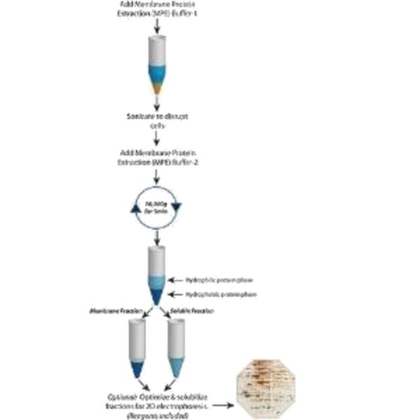 KIT SOLUBLE/INSOLUBLE FOCUS™ P/50