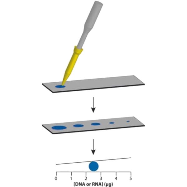 KIT NUCLEIC DOTMETRIC C/DISPOSITIVO P/300