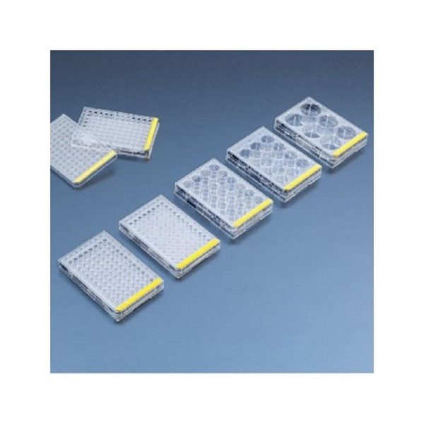 PLACA MICROTITER 96 POCIL. FONDO PLANO C/162