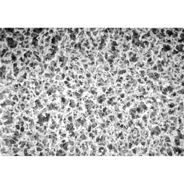 FILTRO MEMB. NITROCELULOSA 0.45UM 47M C/100