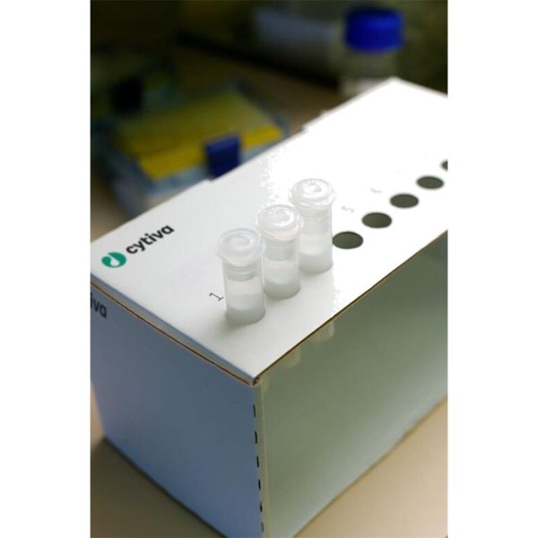 COLUMN DESALTING PD-10 DISPOSABLE C/30