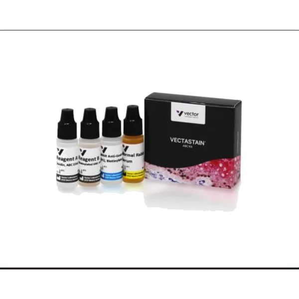 VECTASTAIN ABC-HPR KIT, PEROXIDASE (STANDARD)